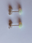 Preview: ohrringe-silber-hell-opalisierend-opal---