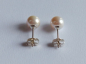 Preview: earrings-pearl-silver---